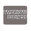 American Express Bezahlmöglichkeit at ezee-e.de