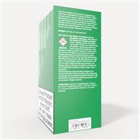 Ezee Go+ Puff Bar Menthol 20mg/ml Nikotin 10 Stk.